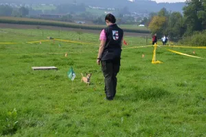 spasssport niederuzwil 2014