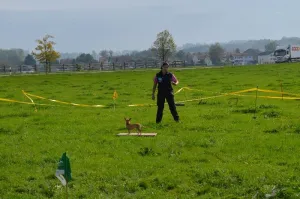 spasssport niederuzwil 2014