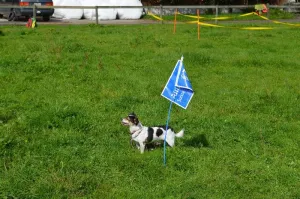 spasssport niederuzwil 2014