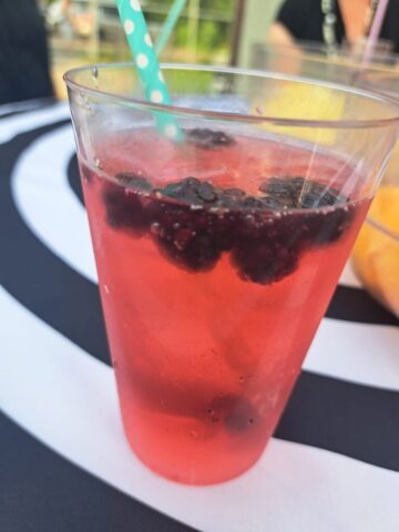 sommerparty 2025 035