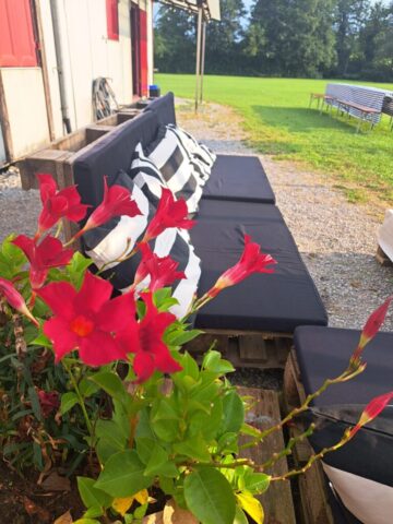 sommerparty 2025 036