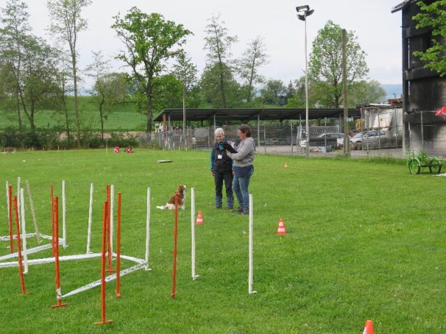 spasssport 2023 001