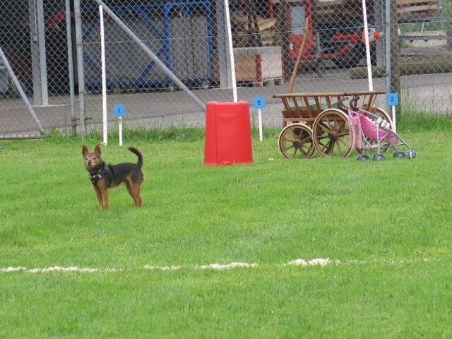 spasssport 2023 009