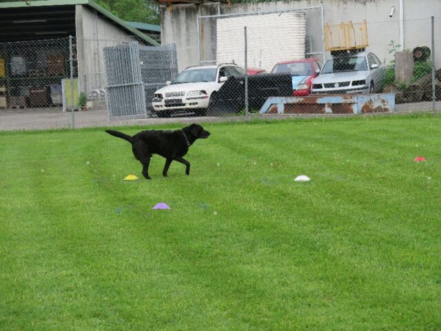 spasssport 2023 013