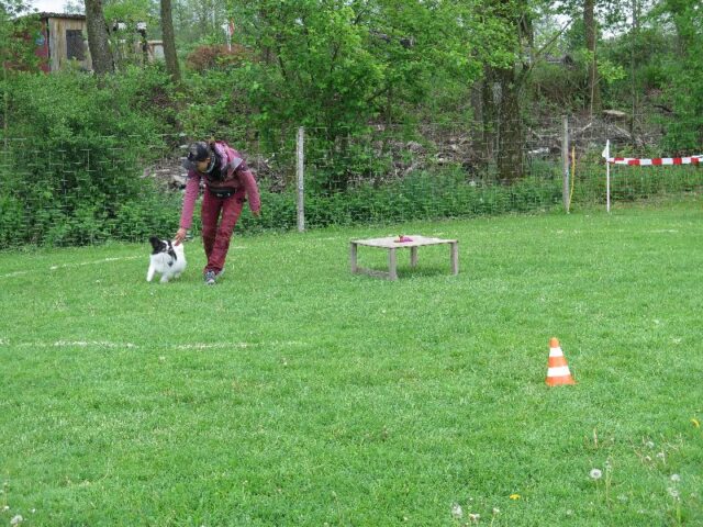 spasssport 2023 102