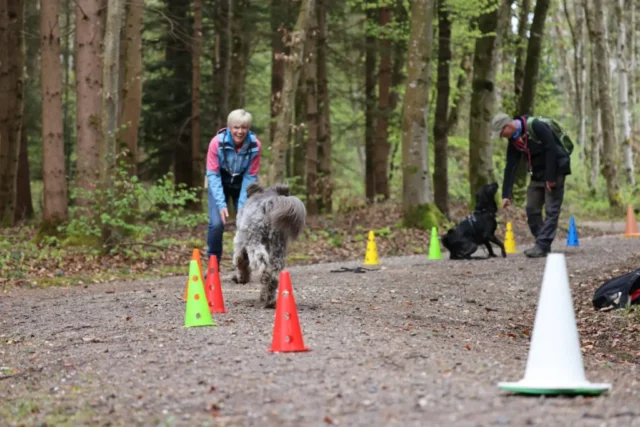 military 2026 033 1600 1000 80
